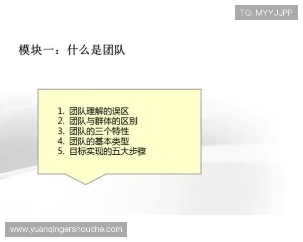 上海足球队在锦标赛中的团队协作表现分析与评价