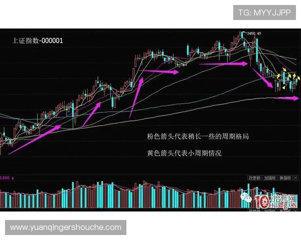 南京羽毛球队与上海羽毛球队对决分析个人能力的深度复盘