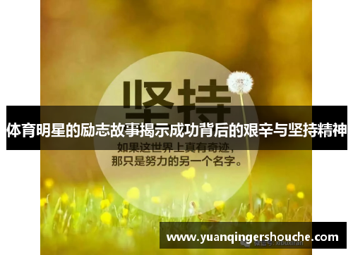 体育明星的励志故事揭示成功背后的艰辛与坚持精神
