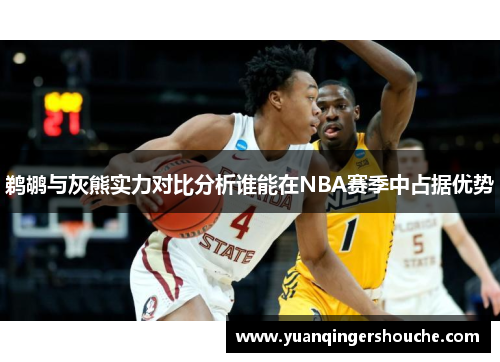 鹈鹕与灰熊实力对比分析谁能在NBA赛季中占据优势