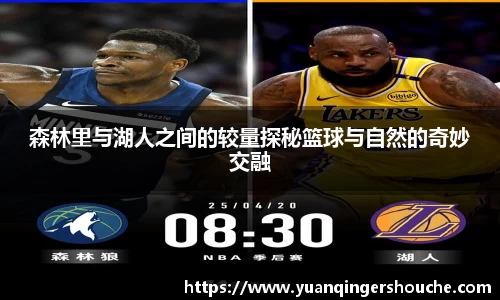 完美电竞森林里与湖人之间的较量探秘篮球与自然的奇妙交融